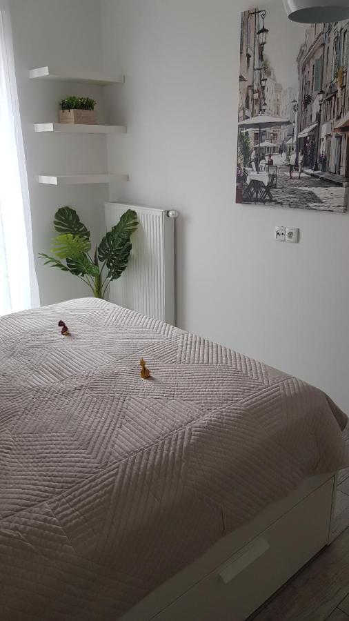 Boznicza Old Town Lux Apartment, Self Check-In 24H, Free Parking Poznan Exterior photo